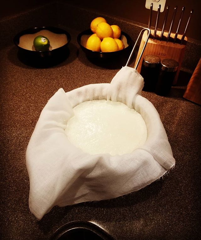 The evening project is making ricotta cheese.  #cheesemaking