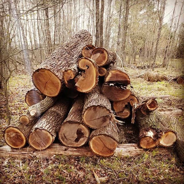 Want more of this... #walnut...#diy #doityourself #handyman #woodworking #wood #carpentry #maker #makersgonnamake