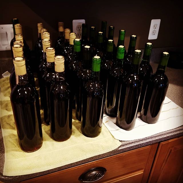 Another 30 bottles....#wine #winemaking #diy #makersgonnamake