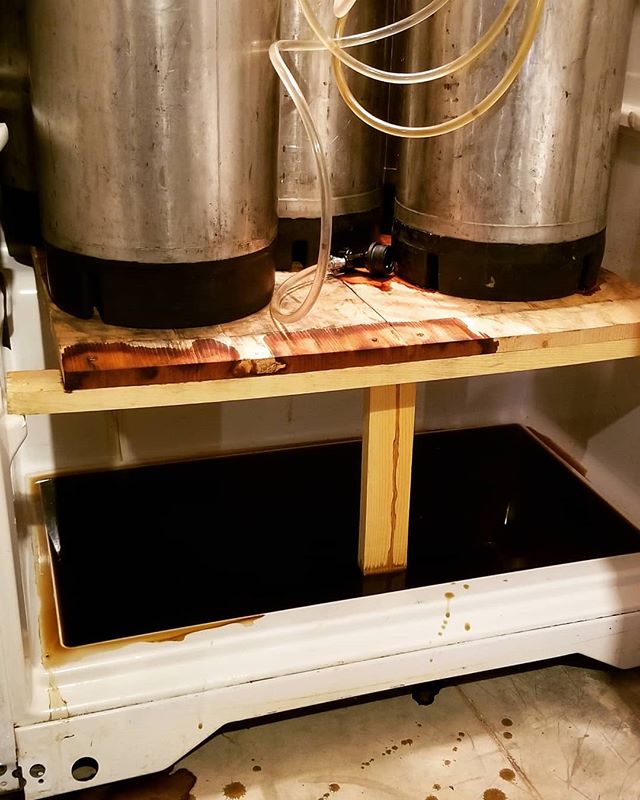 Keg leaked.  Quick, hand me a straw.#homebrewing #beer #homebrew #diy #keg #kegerator #beerfridge