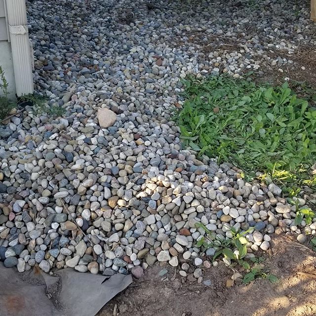 Rocks will be my life for a while.  The river rocks I have now are covered in dirt and weeds.  I built a rock sifter to separate the rocks from the rest.  It is a lot of work.  It is a good workout and helps me prepare for the gun show.