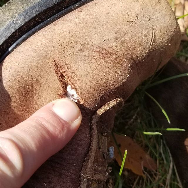 Wear leather boots when using a chainsaw.  Safety third.