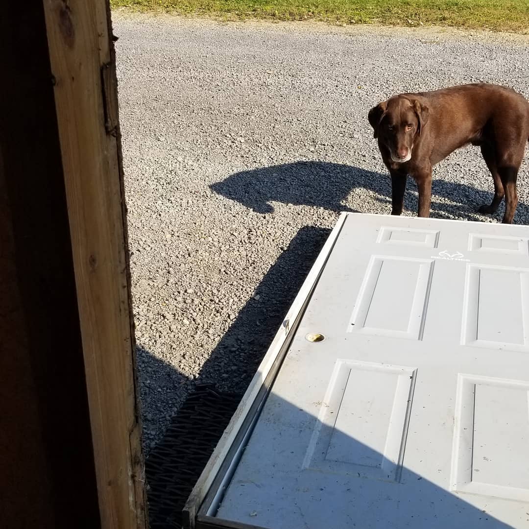 Replaced a door.  The old one came out with just a couple hits.